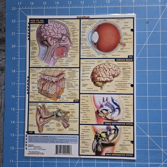 Quick Study Laminated Anatomy Guide & two Clipboards with Storage - Picture 5 of 6